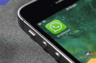 Tips Telfon dan Kirim Pesan WhatsApp Tanpa Simpan Nomor