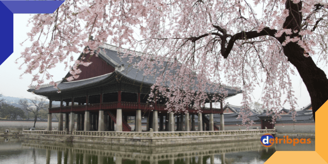 Peran Penting Jasa Tour ke Korea Selatan untuk Kpopers