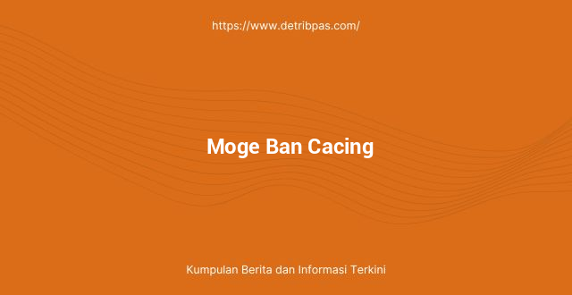 Moge Ban Cacing