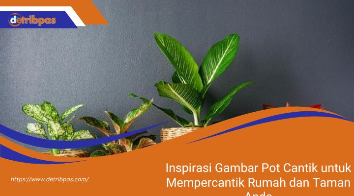 Inspirasi Gambar Pot Cantik untuk Mempercantik Rumah dan Taman Anda