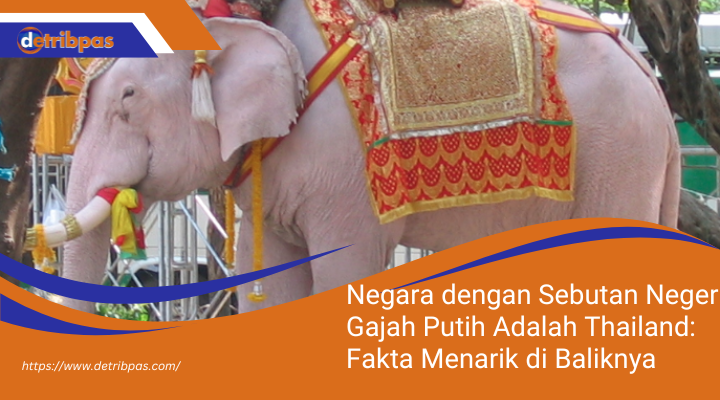 Negara dengan Sebutan Negeri Gajah Putih Adalah Thailand: Fakta Menarik di Baliknya